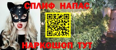 мяу мяу кристалл Ярославль