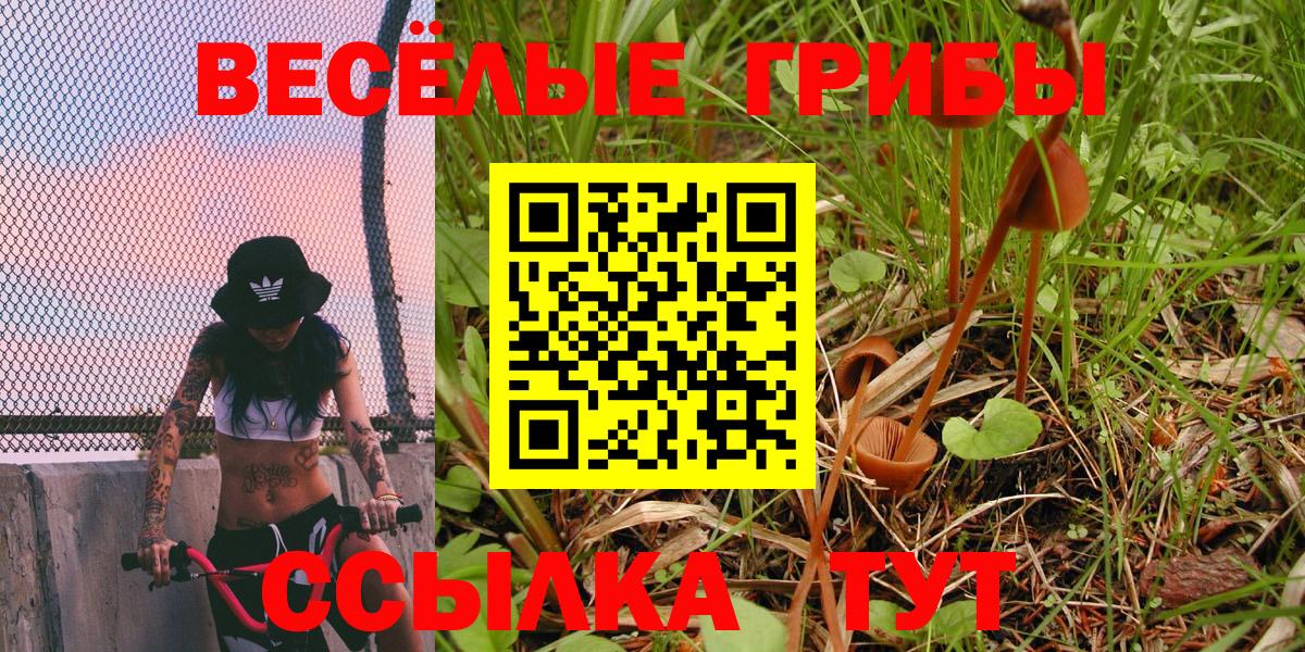 Псилоцибиновые грибы прущие грибы Ессентуки
