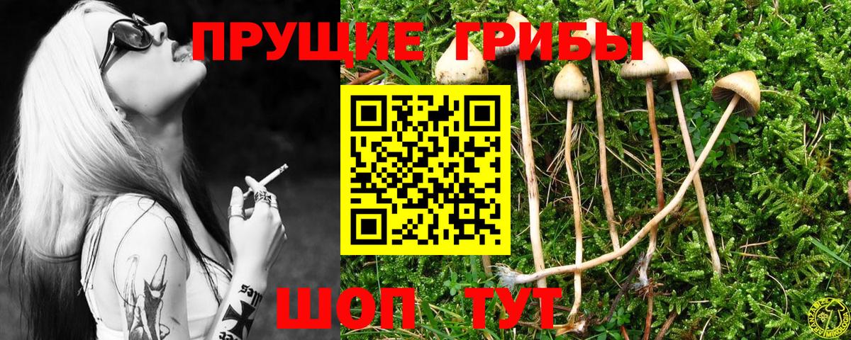 Ессентуки  где можно купить   Вход с VPN  Псилоцибиновые грибы мицелий 